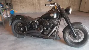 Harley-Davidson 1690 Slim (2011 - 16) - FLS  (2)