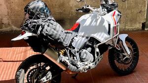 Ducati DesertX (2022 - 25) 