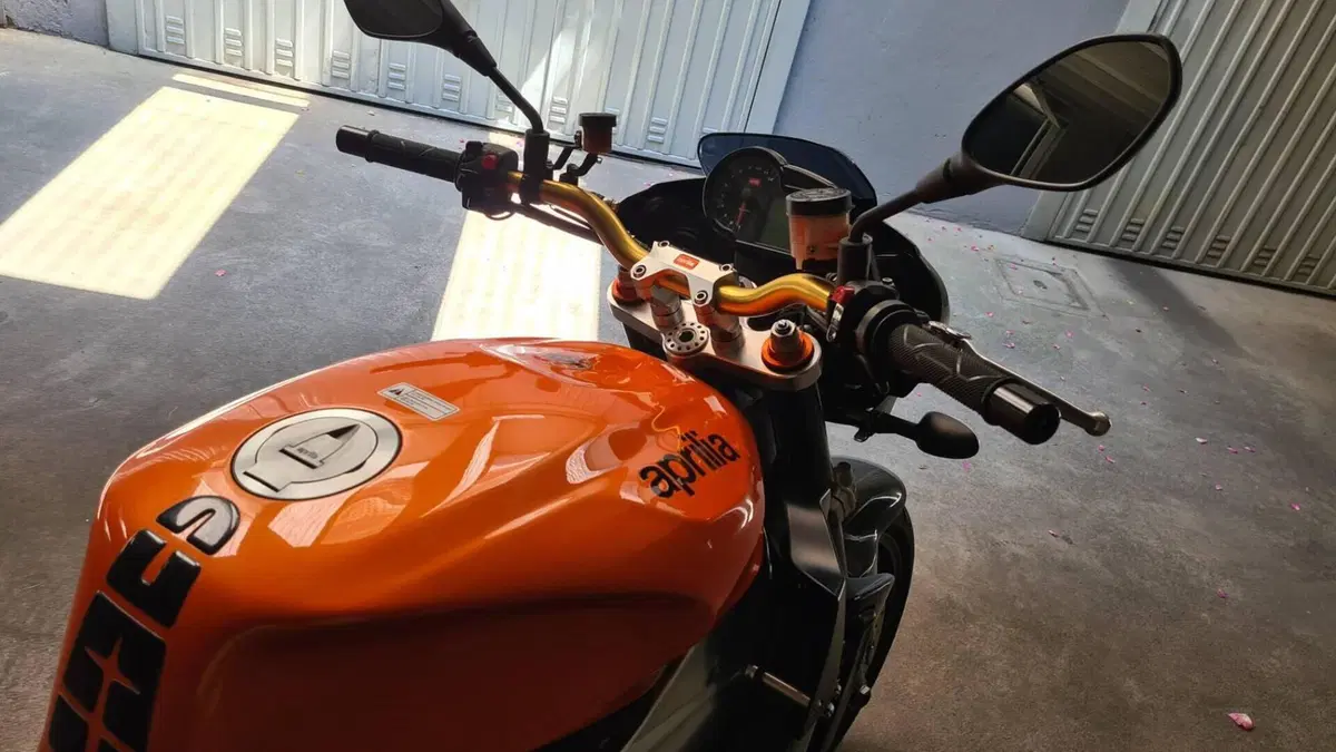 Aprilia Tuono 1000 R (2006 - 10)  (3)