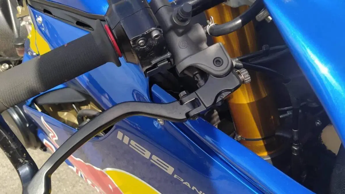 Ducati 1199 Panigale R ABS (2013 - 17)  (2)
