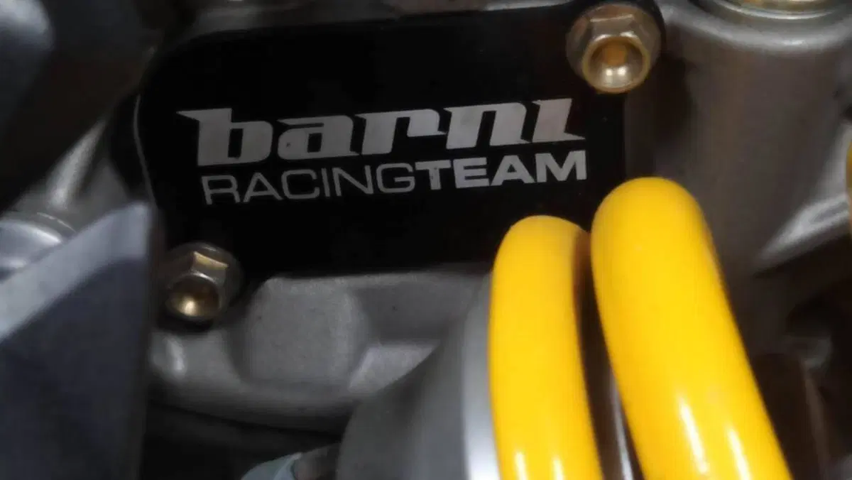 Ducati 1199 Panigale R ABS (2013 - 17)  (8)