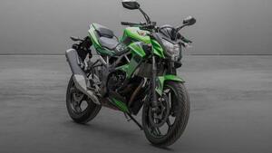 Kawasaki Z 125 (2019 - 20) 