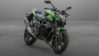 Kawasaki Z 125 (2019 - 20) usata