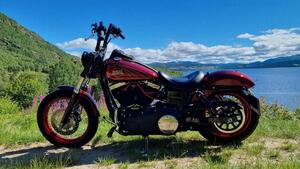 Harley-Davidson 1690 Street Bob Special (2015 - 16) - FXDB 