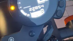 Yamaha XSR 700 XTribute (2019 - 20)  (5)