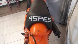 Aspes   (4)