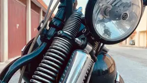 Harley-Davidson 1584 Cross Bones (2008 - 11) - FLSTSB  (6)