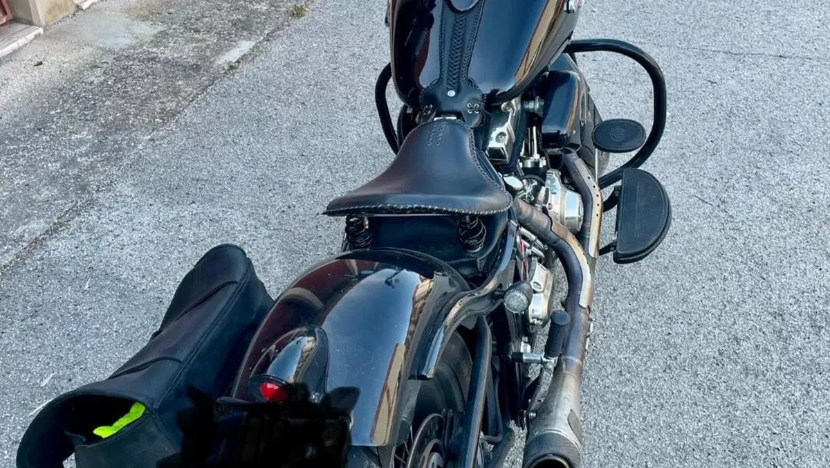 Harley-Davidson 1584 Cross Bones (2008 - 11) - FLSTSB  (10)