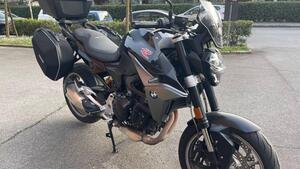 Bmw F 900 R (2021 - 24) 