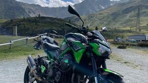 Kawasaki Z 900 A2 (2021 - 24) 