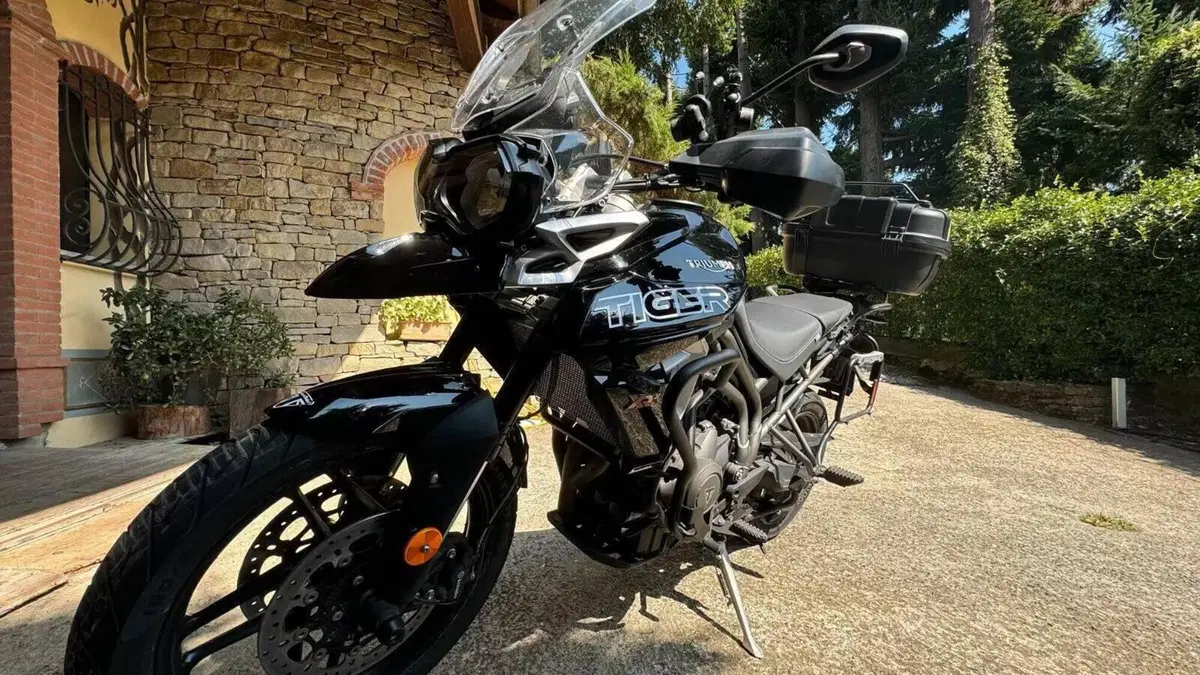 Triumph Tiger 800 XRx (2018 - 20)  (4)