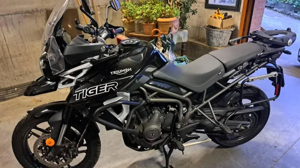 Triumph Tiger 800 XRx (2018 - 20) 