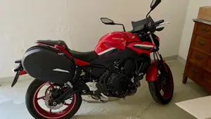 Kawasaki Z 650 50th Anniversary (2022 - 23)  (3)