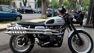 Triumph Scrambler (2006 - 17) 