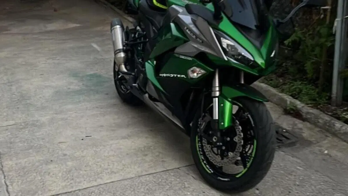 Kawasaki Z 1000 SX Tourer (2017 - 20)  (2)