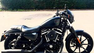 Harley-Davidson 883 Iron (2017 - 20) - XL 883N 