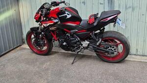 Kawasaki Z 650 (2021 - 24) 