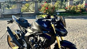 Honda CB 1000 Hornet SP (2025 - 26) 