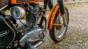 Ducati   (4)