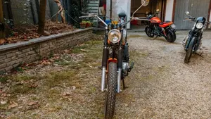 Ducati   (9)