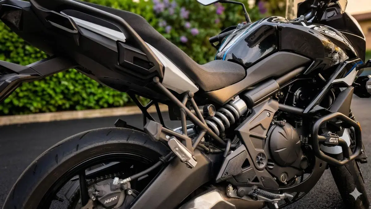 Kawasaki Versys 650 Tourer Plus (2021)  (4)