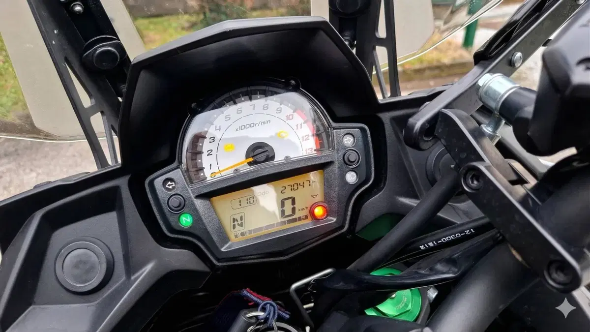 Kawasaki Versys 650 Tourer Plus (2021)  (5)