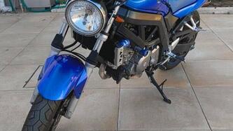 Suzuki SV 650 (2006 - 11) usata
