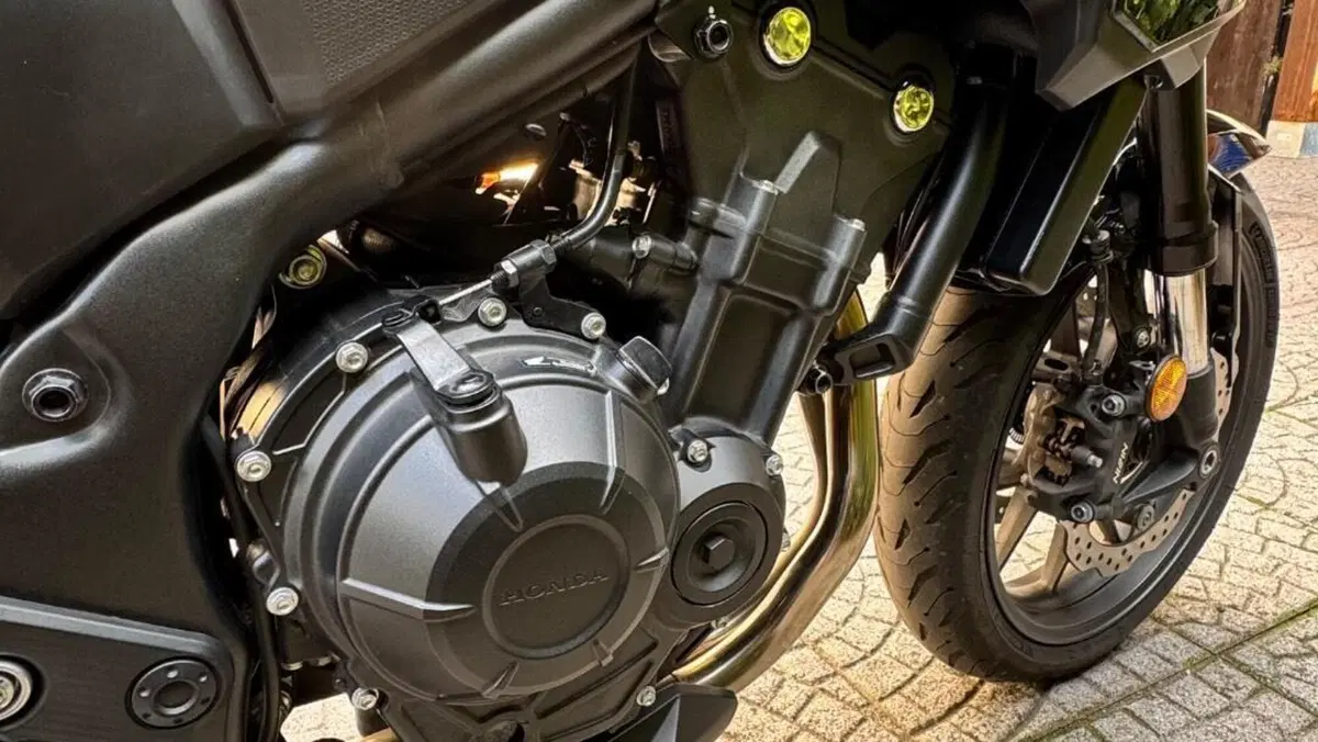 Honda CB 500 Hornet (2024 - 25)  (7)
