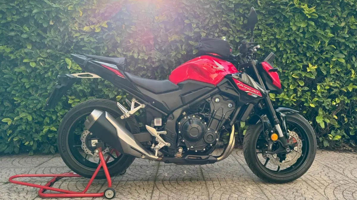 Honda CB 500 Hornet (2024 - 25)  (12)