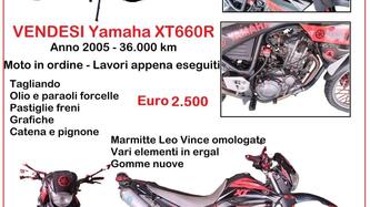 Yamaha XT 660 R (2004 - 16)