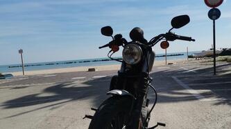 Harley-Davidson 883 Iron (2009 - 11) - XL 883N usata