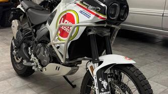 Ducati DesertX (2022 - 25) usata