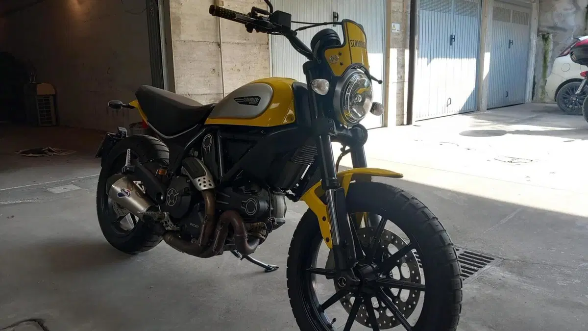 Ducati Scrambler 800 Icon (2015 - 16)  (4)