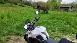 Honda CB 750 Hornet (2023 - 24) 