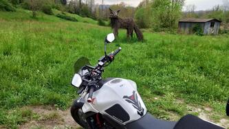 Honda CB 750 Hornet (2023 - 24)