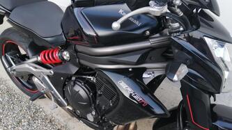 Kawasaki ER-6N (2012 - 13)