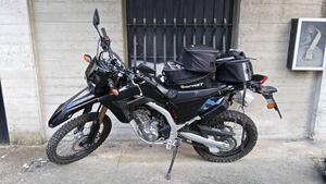 Honda CRF 300L (2021 - 24) 