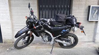 Honda CRF 300L (2021 - 24)