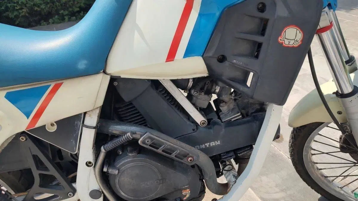 Cagiva   (3)