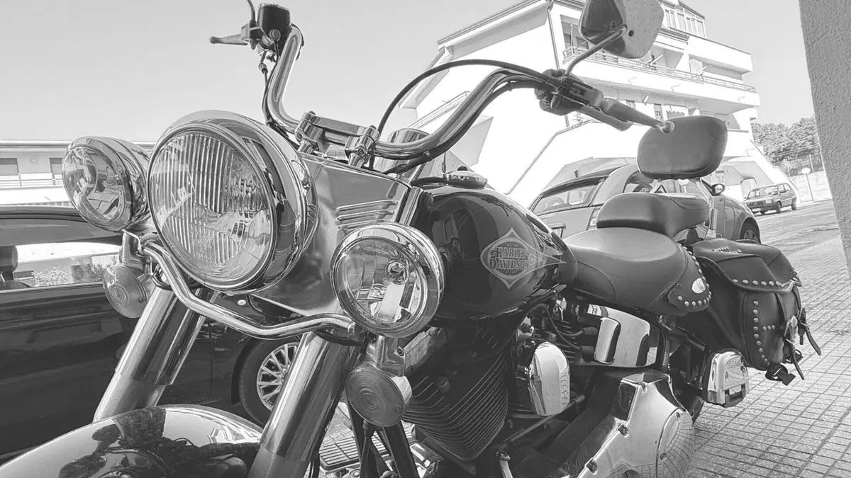 Harley-Davidson 1450 Heritage Classic (1999 - 02) - FLSTC  (2)