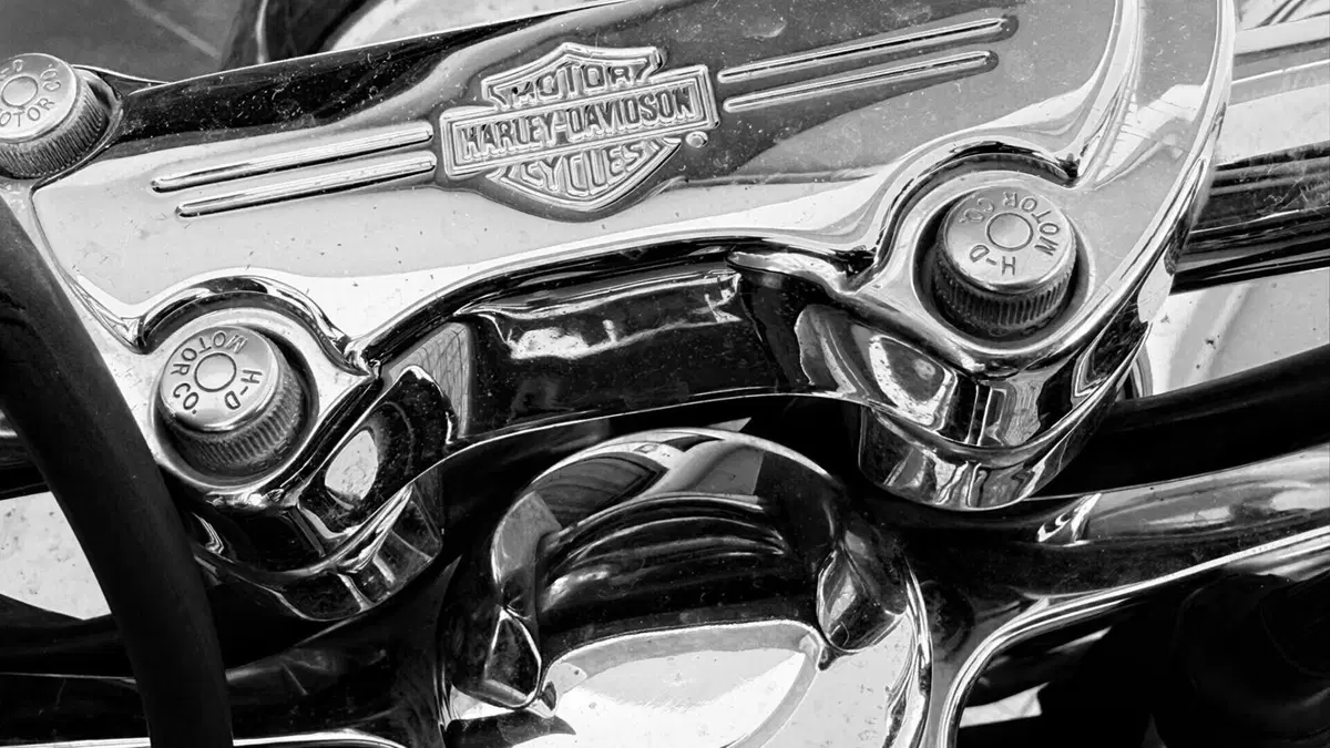 Harley-Davidson 1450 Heritage Classic (1999 - 02) - FLSTC  (4)