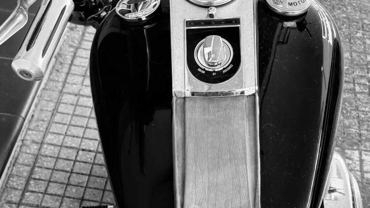 Harley-Davidson 1450 Heritage Classic (1999 - 02) - FLSTC  (5)