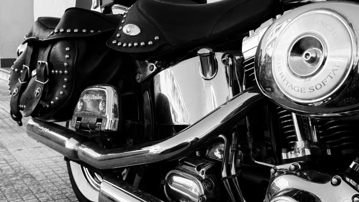 Harley-Davidson 1450 Heritage Classic (1999 - 02) - FLSTC  (7)