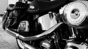 Harley-Davidson 1450 Heritage Classic (1999 - 02) - FLSTC  (7)