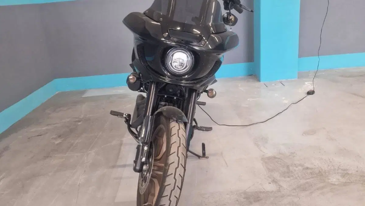 Harley-Davidson Low Rider ST (2022 - 24)  (2)
