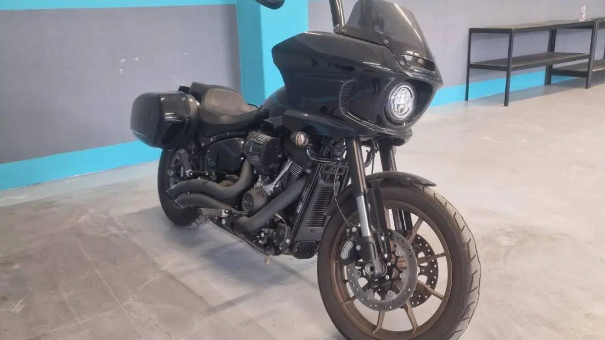 Harley-Davidson Low Rider ST (2022 - 24)  (3)