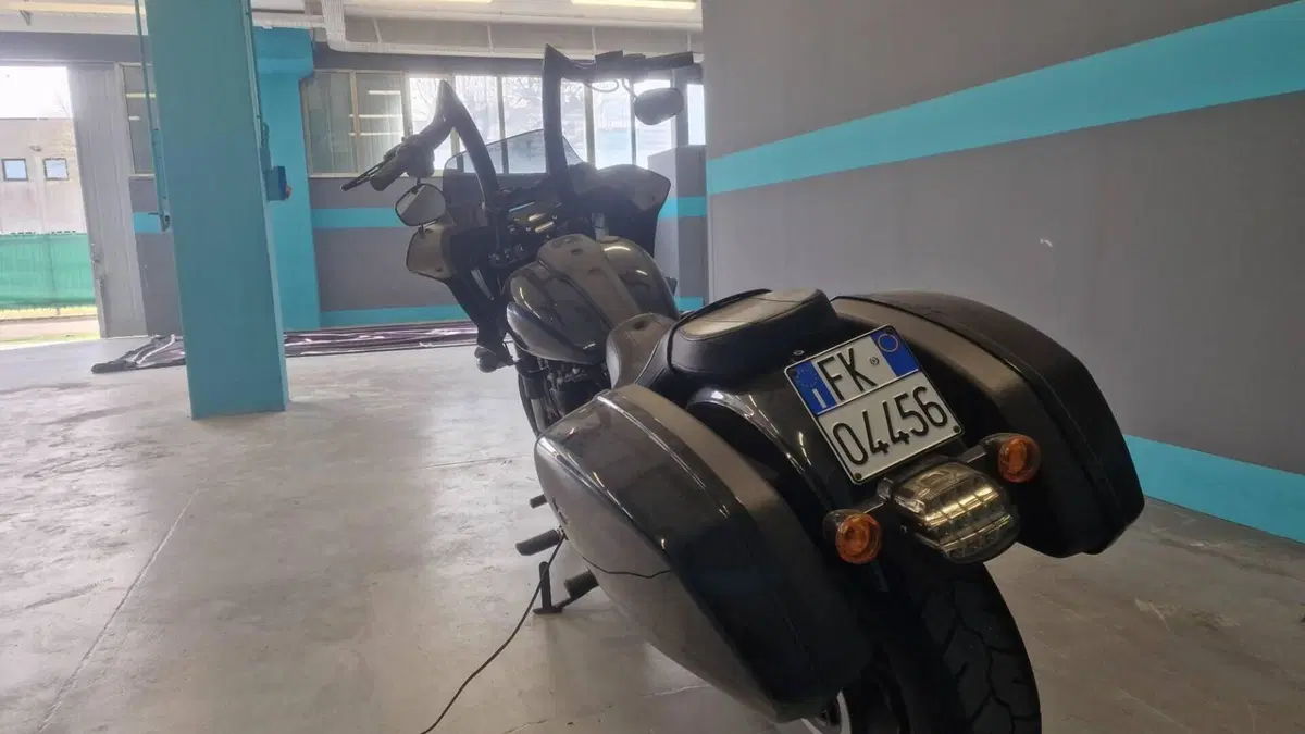 Harley-Davidson Low Rider ST (2022 - 24)  (5)