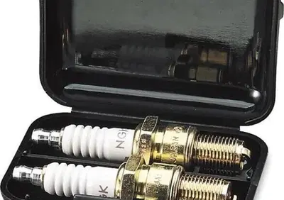 Custodia per can - Annuncio 9972506