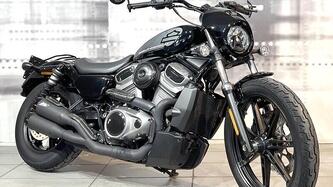 Harley-Davidson Nightster (2023 - 26) usata