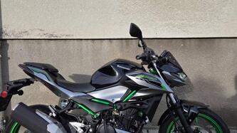 Kawasaki Z 500 SE (2024 - 26)